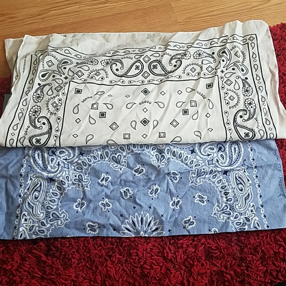 🐦set of 2 bandanas!🐦